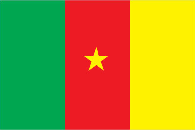 Cameroon Embassy Flag