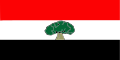 Oromia Region Flag