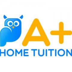 A Plus Home Tuition