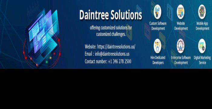 Daintree Solutions  Nearshore Development Company