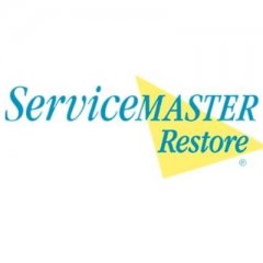 Service Master By Reed