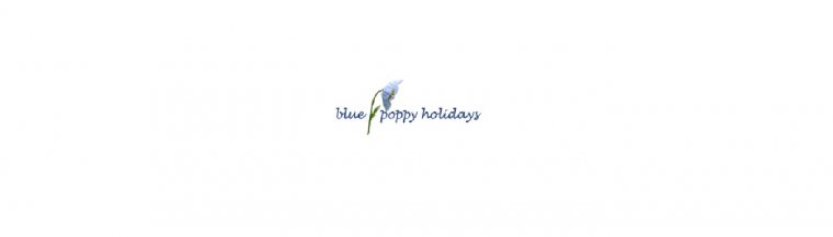 Blue poppy holidays  private limited