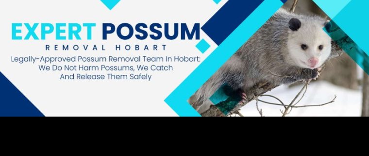247 Possum  Removal Hobart