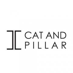 Cat And Pillar Singapore