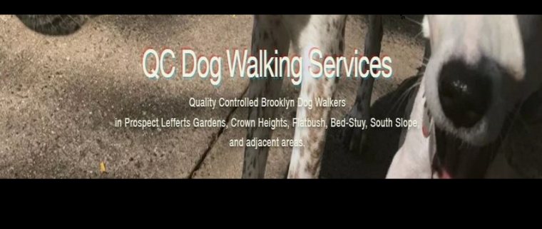 QC Dog Walking Services