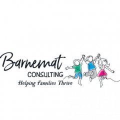 Barnemat Consulting