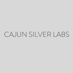 Cajun Silver Labs
