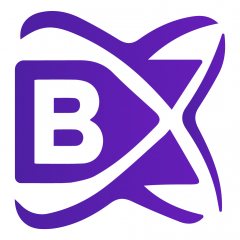 Blockchainx Devevelopment