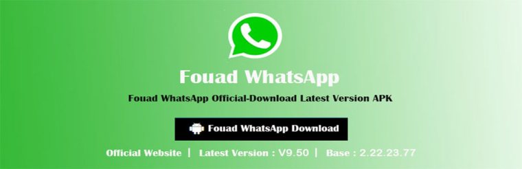 Fouad WhatsApp