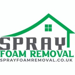 Spray Foam Removal