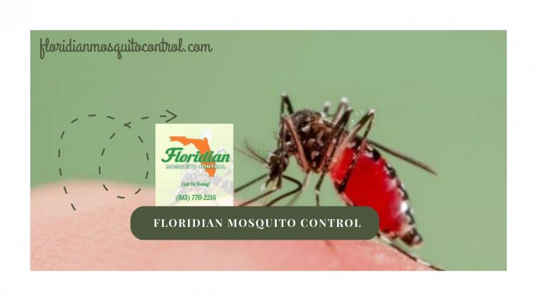 Floridian Mosquitocontrol