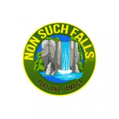 NonSuch Falls