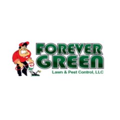 Forever Green Lawn