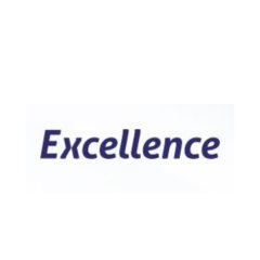 Excellence Auditing And  Business Consultants UAE
