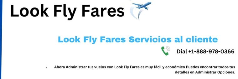 Look Fly Fares