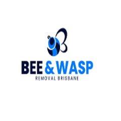 Bee Wasp Removal  Brisbane