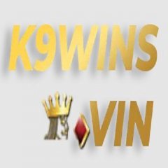 K9WIN Vin