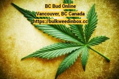 BC Bud  Online