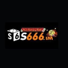 S66 6im