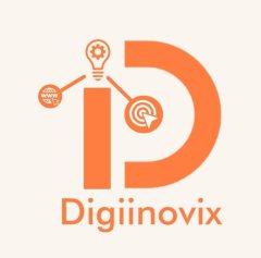 Digiinovix SEO Services