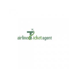 AIRLINES AGENT