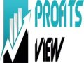 Profits View